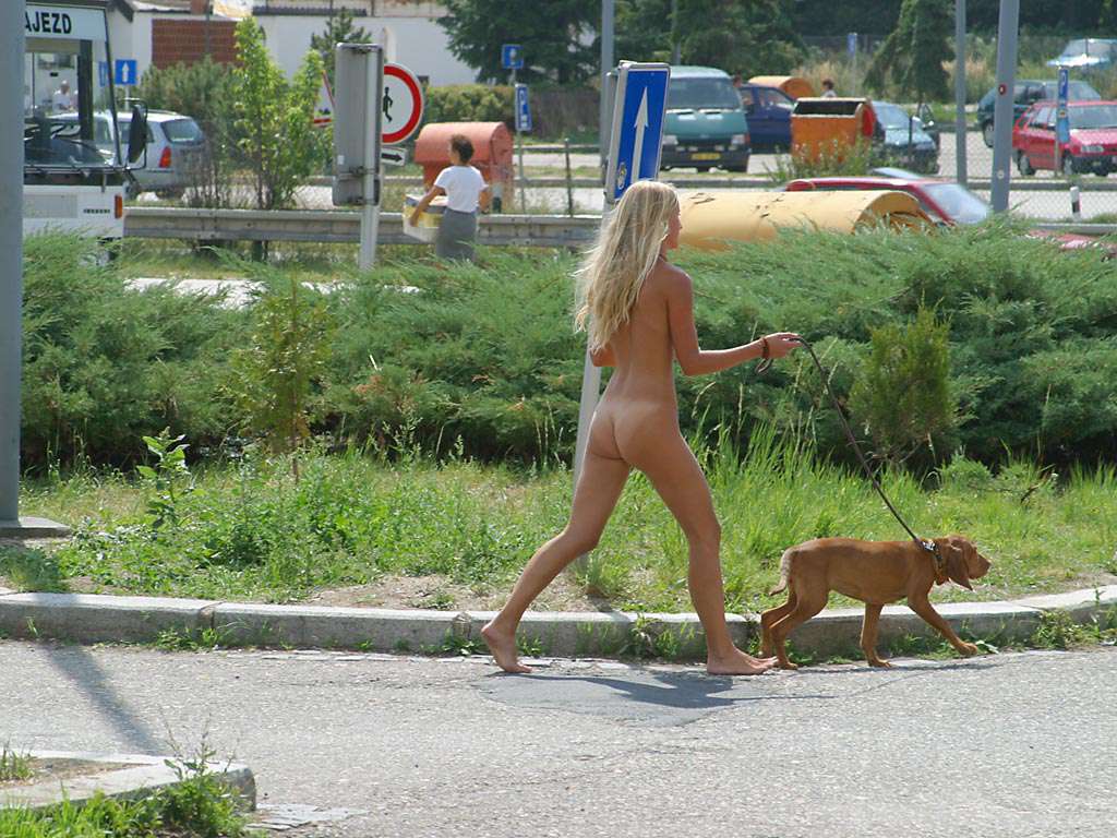 At a highway rest stop